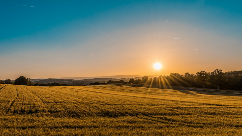Open countryside land; illustrative photography